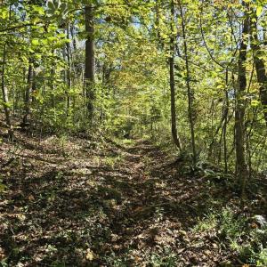 Photo #25 of HURT HOLLOW RD, BANCO, VA 29.5 acres