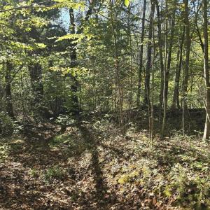 Photo #26 of HURT HOLLOW RD, BANCO, VA 29.5 acres