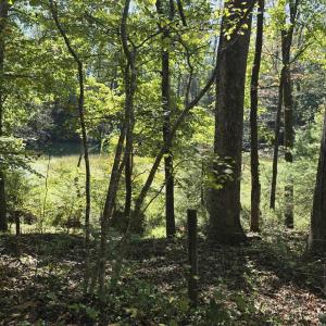 Photo #30 of HURT HOLLOW RD, BANCO, VA 29.5 acres