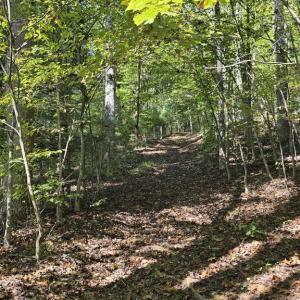 Photo #31 of HURT HOLLOW RD, BANCO, VA 29.5 acres