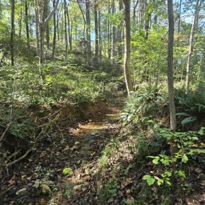 Photo #5 of HURT HOLLOW RD, BANCO, VA 29.5 acres