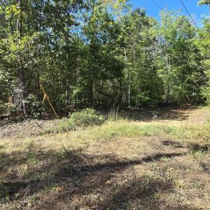 Photo #34 of HURT HOLLOW RD, BANCO, VA 29.5 acres