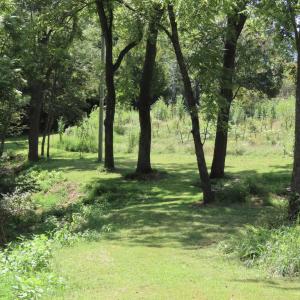 Photo #2 of TIGER VALLEY RD, WASHINGTON, VA 2.9 acres