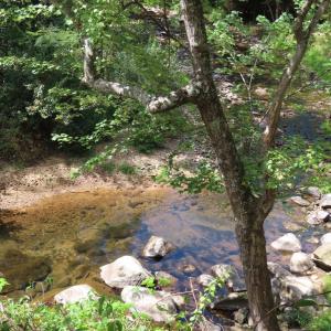 Photo #8 of TIGER VALLEY RD, WASHINGTON, VA 2.9 acres