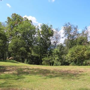 Photo #11 of TIGER VALLEY RD, WASHINGTON, VA 2.9 acres