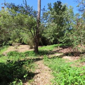 Photo #12 of TIGER VALLEY RD, WASHINGTON, VA 2.9 acres