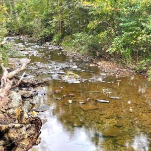 Photo #4 of TIGER VALLEY RD, WASHINGTON, VA 2.9 acres