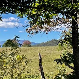 Photo #5 of TIGER VALLEY RD, WASHINGTON, VA 2.9 acres