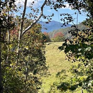 Photo #6 of TIGER VALLEY RD, WASHINGTON, VA 2.9 acres