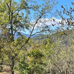 Photo #2 of TIGER VALLEY RD, WASHINGTON, VA 2.9 acres