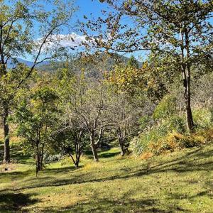 Photo #1 of TIGER VALLEY RD, WASHINGTON, VA 2.9 acres