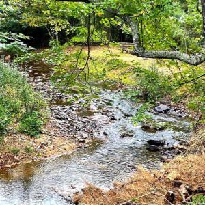 Photo #7 of TIGER VALLEY RD, WASHINGTON, VA 2.9 acres