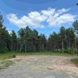 Photo #2 of HOLLAND ROAD (TRACT: JR BEDFORD-BOWLES_SIMS-1), COLUMBIA, VA 76.6 acres