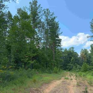 Photo #7 of HOLLAND ROAD (TRACT: JR BEDFORD-BOWLES_SIMS-1), COLUMBIA, VA 61.1 acres