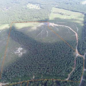 Photo #4 of HOLLAND ROAD (TRACT: JR BEDFORD-BOWLES_SIMS-1), COLUMBIA, VA 61.1 acres