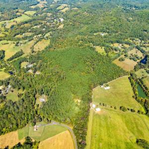 Photo #4 of OLINGER RD, MARSHALL, VA 50.0 acres