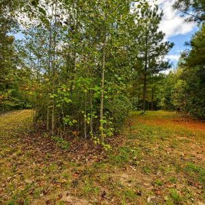 Photo #5 of CROSS COUNTRY RD., MINERAL, VA 101.0 acres