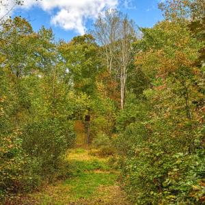 Photo #6 of CROSS COUNTRY RD., MINERAL, VA 101.0 acres