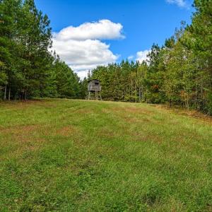 Photo #8 of CROSS COUNTRY RD., MINERAL, VA 101.0 acres