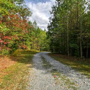 Photo #16 of CROSS COUNTRY RD., MINERAL, VA 101.0 acres