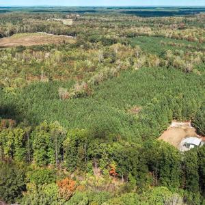 Photo #19 of CROSS COUNTRY RD., MINERAL, VA 101.0 acres