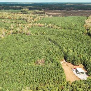 Photo #17 of CROSS COUNTRY RD., MINERAL, VA 101.0 acres