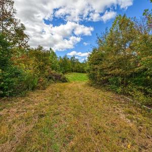 Photo #22 of CROSS COUNTRY RD., MINERAL, VA 101.0 acres