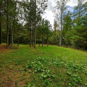 Photo #25 of CROSS COUNTRY RD., MINERAL, VA 101.0 acres