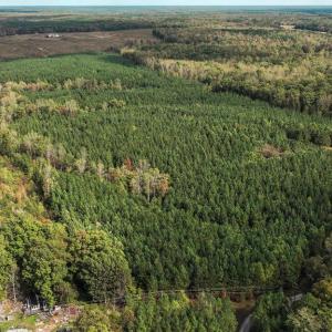 Photo #28 of CROSS COUNTRY RD., MINERAL, VA 101.0 acres