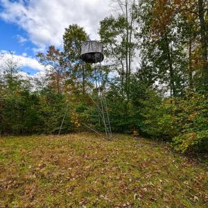 Photo #30 of CROSS COUNTRY RD., MINERAL, VA 101.0 acres