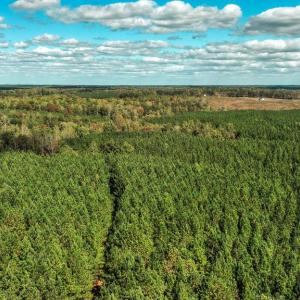 Photo #44 of CROSS COUNTRY RD., MINERAL, VA 101.0 acres