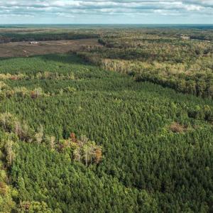 Photo #47 of CROSS COUNTRY RD., MINERAL, VA 101.0 acres