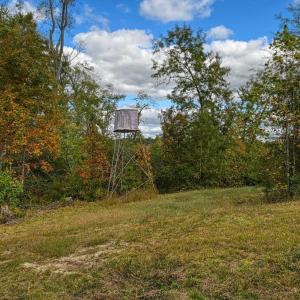 Photo #48 of CROSS COUNTRY RD., MINERAL, VA 101.0 acres