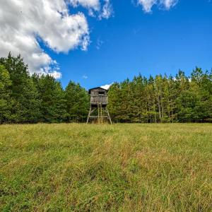 Photo #51 of CROSS COUNTRY RD., MINERAL, VA 101.0 acres