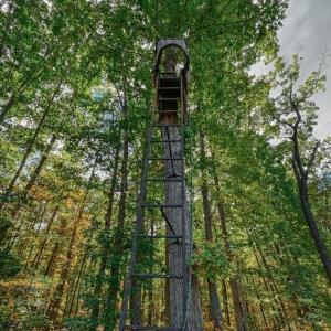 Photo #56 of CROSS COUNTRY RD., MINERAL, VA 101.0 acres