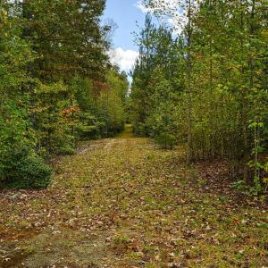 Photo #4 of CROSS COUNTRY RD., MINERAL, VA 101.0 acres