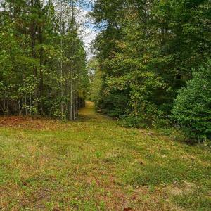 Photo #7 of CROSS COUNTRY RD., MINERAL, VA 101.0 acres