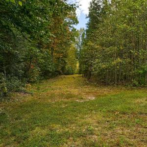 Photo #9 of CROSS COUNTRY RD., MINERAL, VA 101.0 acres