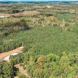 Photo #12 of CROSS COUNTRY RD., MINERAL, VA 101.0 acres