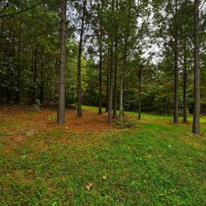 Photo #14 of CROSS COUNTRY RD., MINERAL, VA 101.0 acres