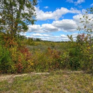 Photo #31 of CROSS COUNTRY RD., MINERAL, VA 101.0 acres