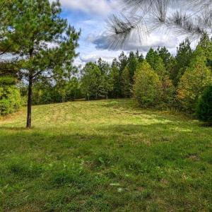 Photo #32 of CROSS COUNTRY RD., MINERAL, VA 101.0 acres