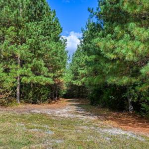 Photo #33 of CROSS COUNTRY RD., MINERAL, VA 101.0 acres