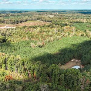 Photo #36 of CROSS COUNTRY RD., MINERAL, VA 101.0 acres