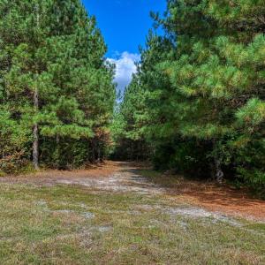 Photo #42 of CROSS COUNTRY RD., MINERAL, VA 101.0 acres