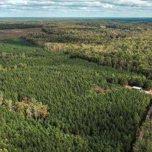 Photo #46 of CROSS COUNTRY RD., MINERAL, VA 101.0 acres