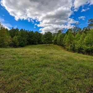 Photo #49 of CROSS COUNTRY RD., MINERAL, VA 101.0 acres