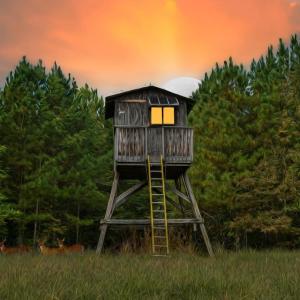 Photo #1 of CROSS COUNTRY RD., MINERAL, VA 101.0 acres