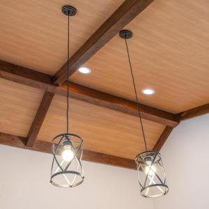 Photo #31 of 385 MCDANIEL LN, SHENANDOAH, VA 23.4 acres