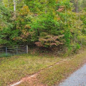 Photo #2 of BEECH TREE ROAD, ORANGE, VA 12.9 acres